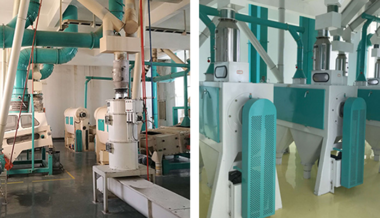 Wheat Flour Milling Plant 500TPD Wheat Flour Milling Plant 500TPD(pic1)