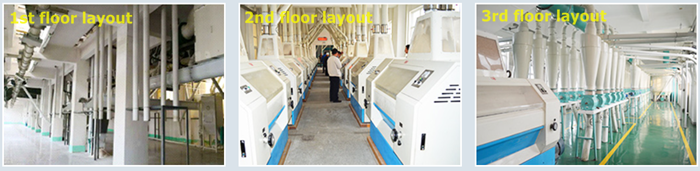Wheat Flour Milling Plant 500TPD Wheat Flour Milling Plant 500TPD(pic5)