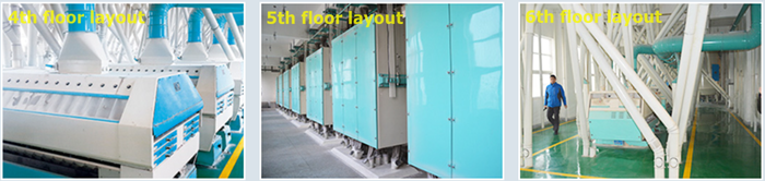Wheat Flour Milling Plant 500TPD Wheat Flour Milling Plant 500TPD(pic6)