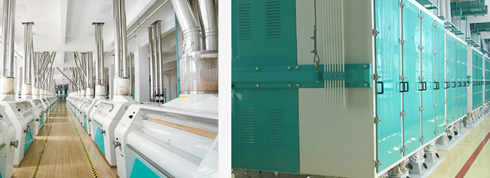 Maize Flour Milling Plant Maize Flour Milling Plant 300TPD(pic3)