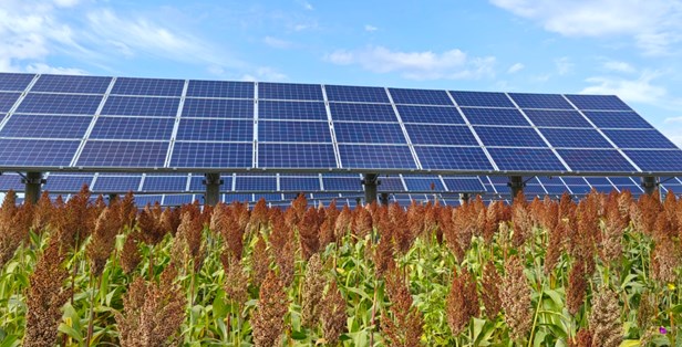 What Are Solar Cells